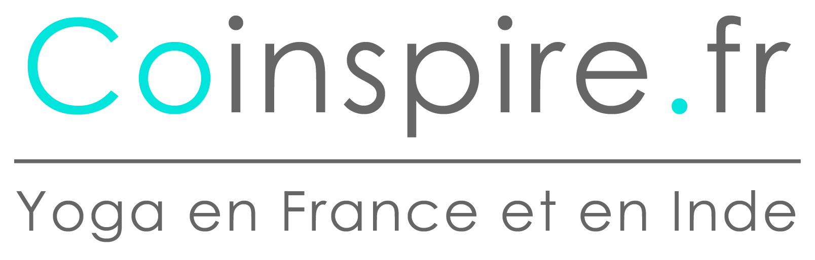 logo-coinspire-bandeau-gris